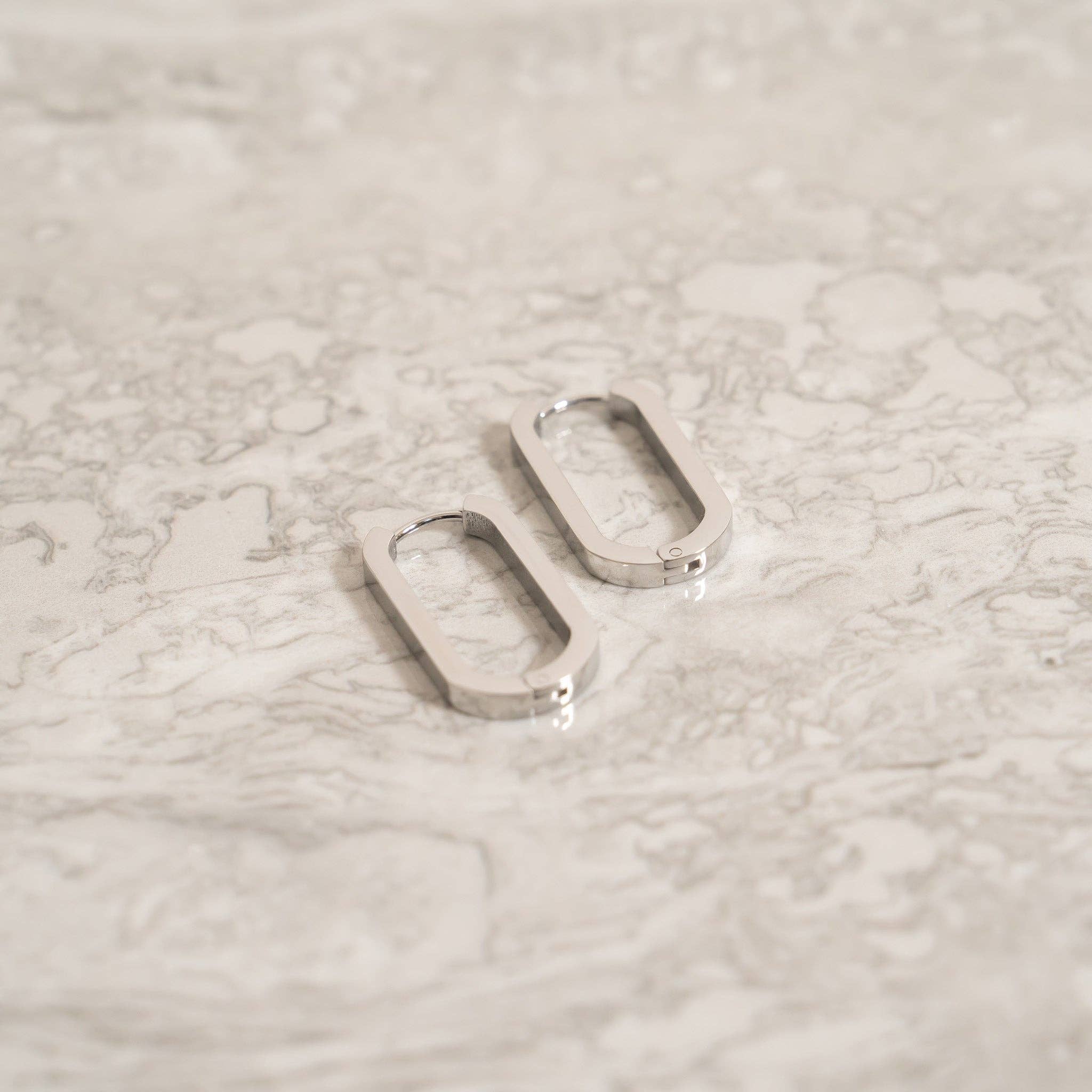 18K Gold PVD Stainless Stainless Steel Oval Huggie Earrings
