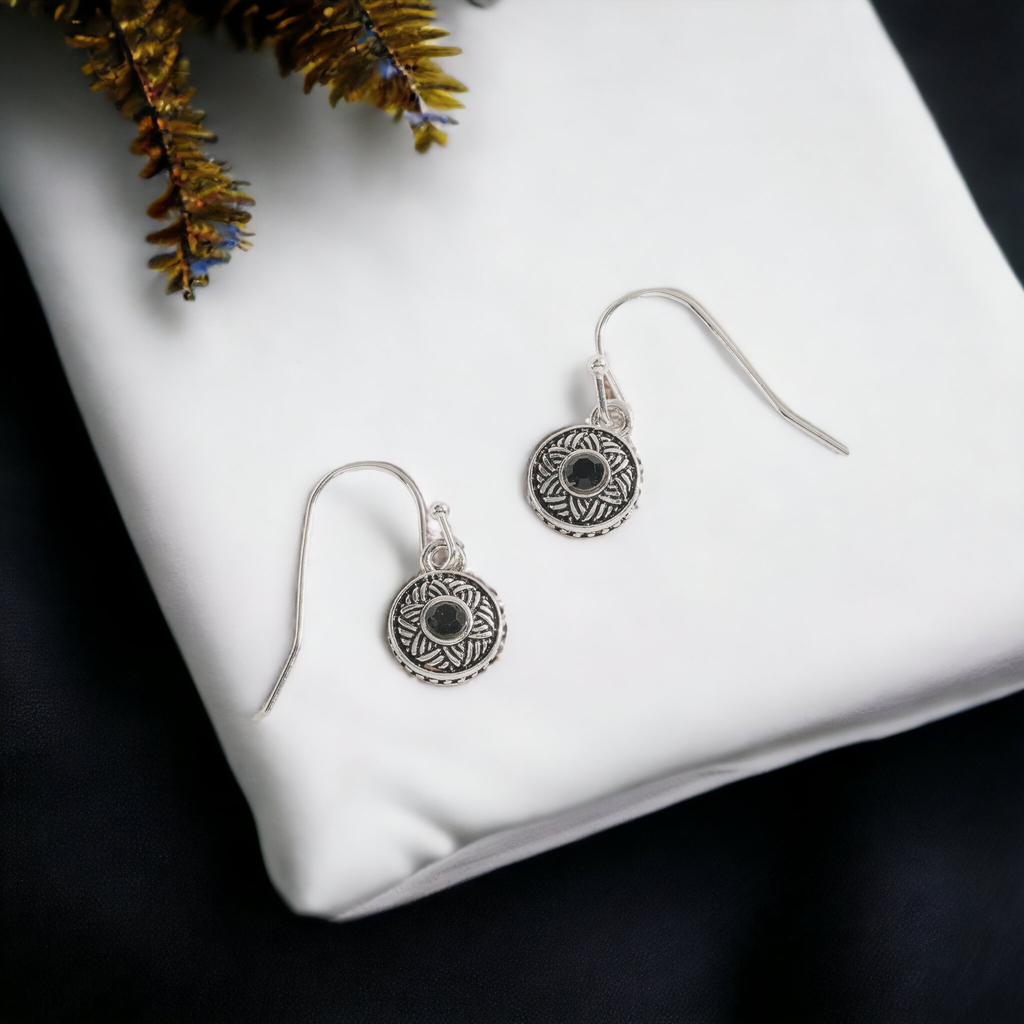 Silver with Stone Drop Ear Sense Earrings