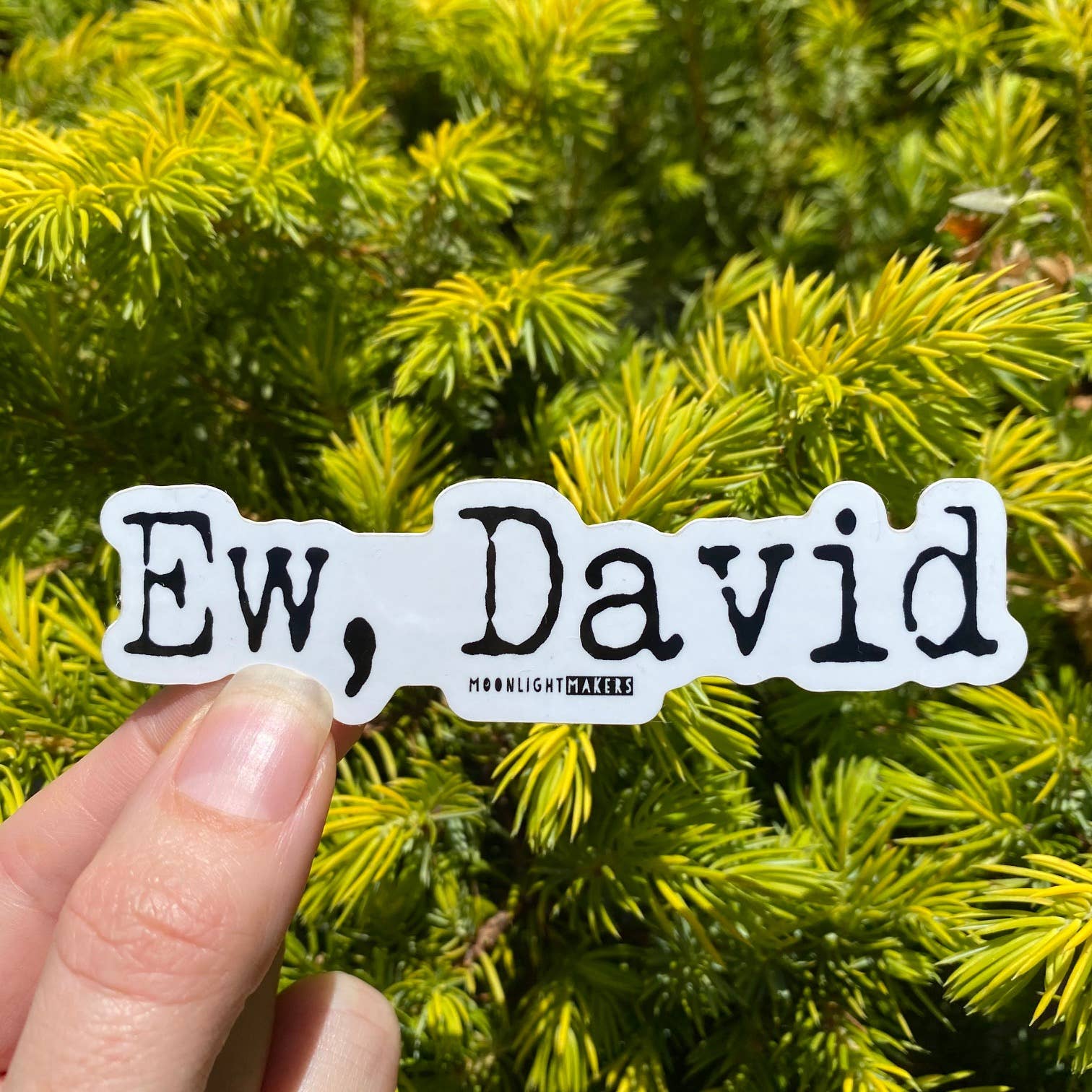Ew, David - Schitt's Creek Stickers